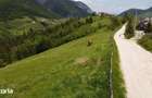 Teren intravilan 4.151 mp in Pe?tera (Moeciu), Proiect DTAC inclus - 2