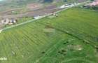 Teren de vanzare sau inchiriat 19ha intravilan, Agnita,Sibiu - 3