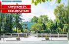 Teren generos ?i casa deosebita langa Parcul Central? - 10