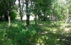Teren intravilan, 1143 mp, front 24 ml,zona Hipodrom - 2