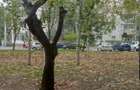Vanz gars la P din 4, 16 mp, bloc de ap ?i gars, 1994, izolat,sect 2-zona Doamna Ghica, 28900 Euro - 1