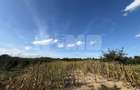 Teren intravilan Voitinel | 6.355 mp