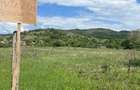 Teren de vanzare intravilan - 3