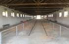 Ferma complet utilata 30 ha teren comasat Timi? Comuna Biled - 17