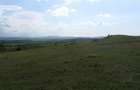 Teren de vanzare in Apoldu de Jos oportunitate investitionala pentru agroturism / camping - 1