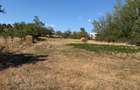 6.000 MP 2 terenuri mari+ casa - 5