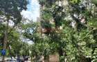 Calea Rahovei - 2 Camere - 11