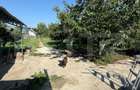 Casa P+1+M, 490 mp, teren 2.714 mp, zona Pucioasa - Pucioasa (Dambovita)