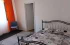Apartament 2 camere de inchiriat iosefin - 2