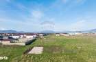 Teren Sanpetru, str Armoniei, 539mp, cu proiect casa si avize in lucru - 11