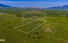 Teren 1ha, extravilan Rasnov / Agricultura sau ferma/ COMISION 0% - 1