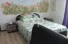 Casa 3 camere in Trivale | str Campului | Mobilata si Utilata - 8