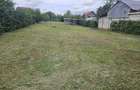 Vand proprietate in Beius-front doua strazi - 6
