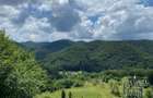 Casă cu 4 camere cu Teren 6000 Mp în Vața de Jos - 1