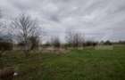 Teren intravilan, 3515 mp, zona Crevedia