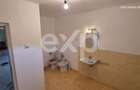 Vila Individuala Imensa + Casa de Oaspeti si Garaj Dublu | Teren 1.00 - 6