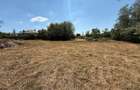 Loc ideal pentru casa, cu padure proprie, la aprox 1h de Bucuresti - 5