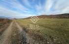 Teren de vanzare extravilan 1000mp - Aerodrom - 3