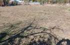vand gradina 600m2 in ianova jud timis - 1