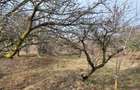 Teren Intravilan 43Ari zona Ortelec-Zalau intre case 4800eur/ar