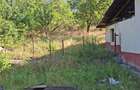 Casă cu 3 camere cu Teren 3000 Mp în Vârvor - 5