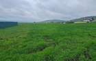 Teren extravilan, 2380 mp, zona centurii Nord(Donath) - 1