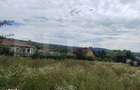 Casa 120 mp utili, 2850 mp teren, zona Bucium