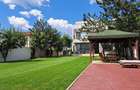 Vila in apropiere de IANCU NICOLAE-JOLIE VILLE - 24