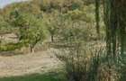 Teren de 2100 mp, în Fălticeni - 6