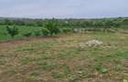 Teren intravilan, pozitie superba - 3800m2 cu Utilitati pe teren - 4