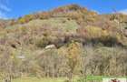 Casa de vanzare in Trampoiele (Zlatna) - 8