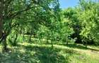 De vanzare casa cu anexe si gradina 2418 m.p la 30 km distanta de Cluj Napoca - 4