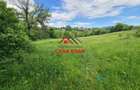 Teren intravilan in Campina--4355mp--28.500 euro - 6