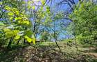 Oaza de lini?te ?i natura pura | Teren de vanzare in Runcu - Dobri?a, Gorj - 4