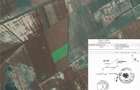 Teren agricol zona Gradinari langa balta Hobaia - Accept Schimburi - 3