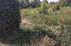 Teren de 3000 mp, în Bucov - 2
