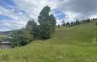 Teren intravilan de vanzare, 5000 m - 3