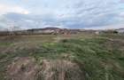 17.000 mp teren intravilan+hale 2.000 mp-Drumul Tarpiului BISTRITA - 1