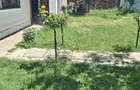 vand casa cu teren cu drum servitute periferia tg jiu - 3