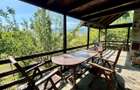 Casa individuala - Teren 2600 mp, 4 camere - Tocile/Sibiu - 17