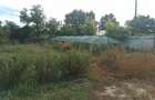 Casa+2000m2, zona centrala in sat Oprisenesti, jud Braila - 6