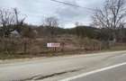 Teren intravilan-extravilan, Valea Mare-Podgoria, Arges - idealimob.ro - 1