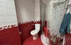 Apartament 3 camere mobilat-utilat cu GARAJ - Doamna Stanca - 14