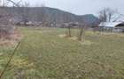 Teren de vanzare intravilan CAMPURI - 3