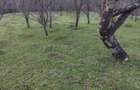 Vand teren intravilan - 2
