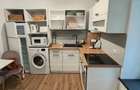 Apartament cu o cameră în vilă, lângă Parcul Central, Grigorescu - 2