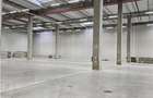 Spatiu Industrial - 1500 mp - Logistica - Productie - Depozitare - 7