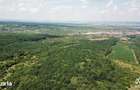 Livada de Nuci, 11 Hectare comasate, Cisnadie, Jud. Sibiu - 4
