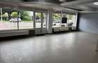 Spatiu comercial de inchiriat - 4