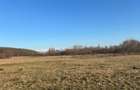 Oază de liniște cu vedere la munți – 2.400 mp lângă Aeroportul Sibiu (Cristian) - 4